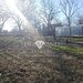 Afumati Str.Stefan cel Mare 0% Comision Teren intravilan 1334mp